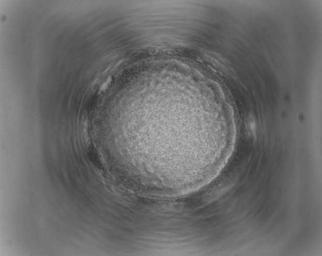 X0000069391060200605192208