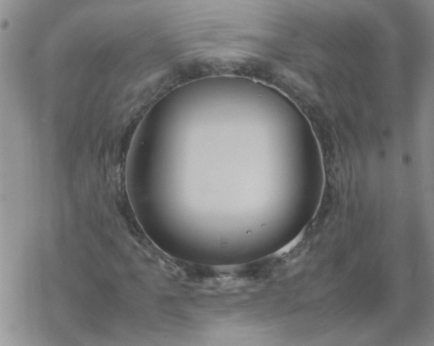 X0000069391061200605192208