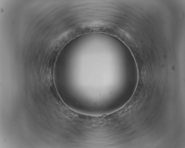 X0000069391062200605192208