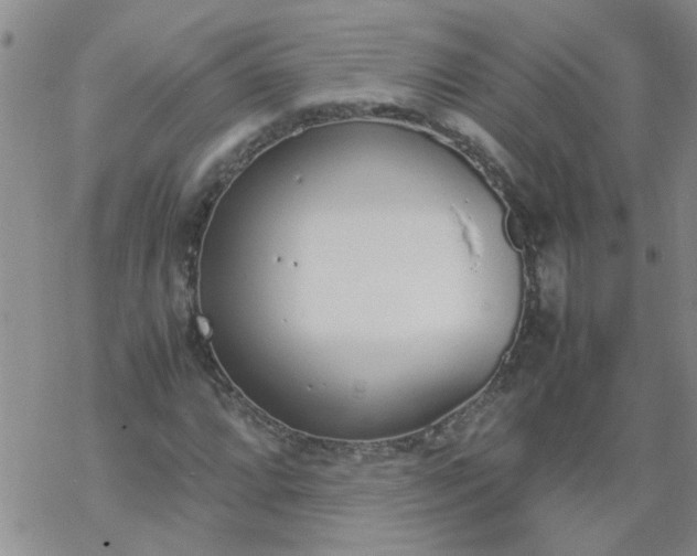 X0000069391064200605192208