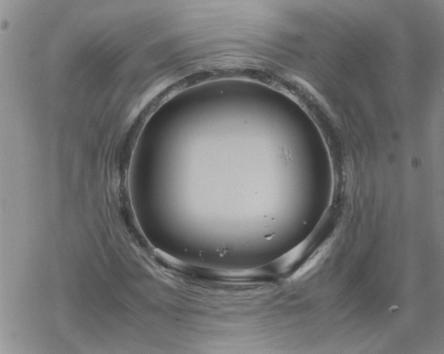 X0000069391065200605192208