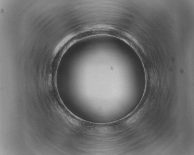 X0000069391066200605192208