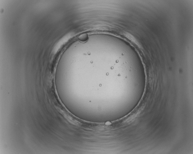 X0000069391067200605192208