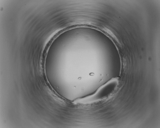 X0000069391068200605192208