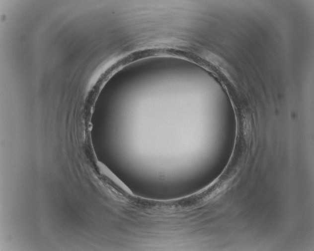 X0000069391069200605192208