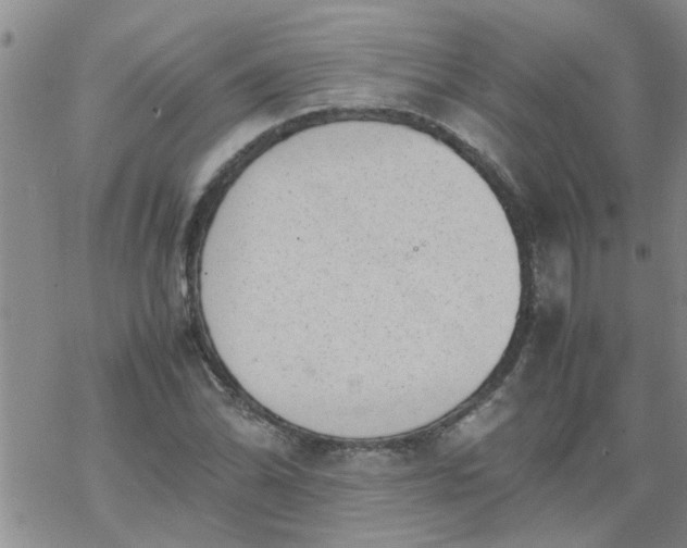 X0000069391070200605192208