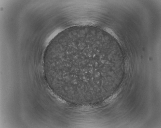 X0000069391071200605192208