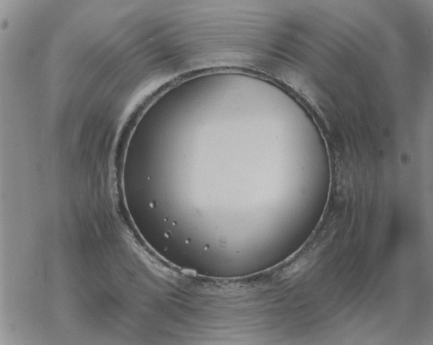 X0000069391072200605192208