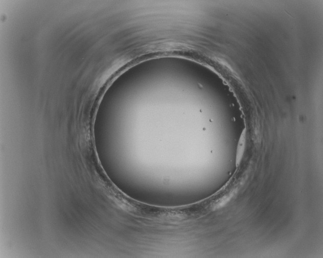 X0000069391073200605192208