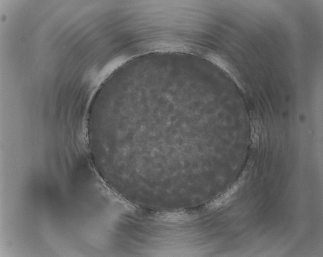 X0000069391074200605192208