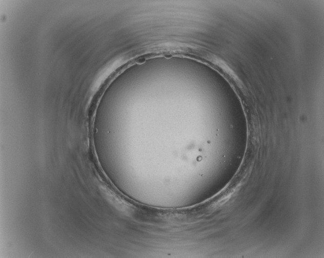 X0000069391075200605192208