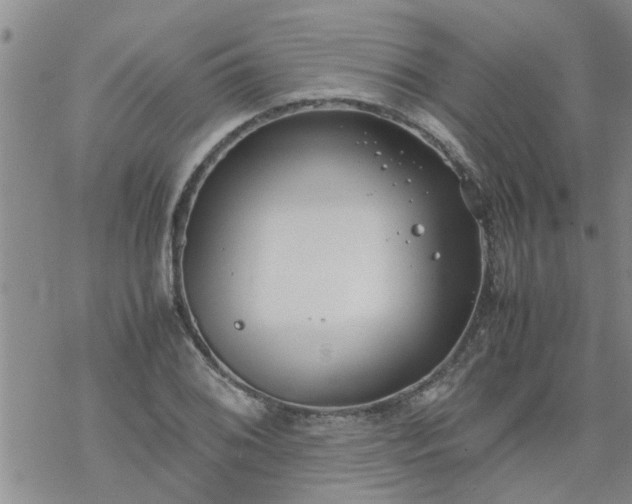 X0000069391076200605192208