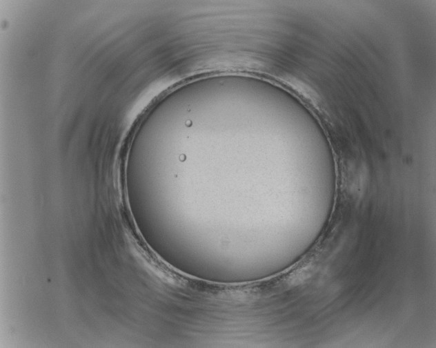 X0000069391078200605192208