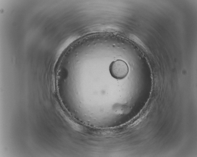 X0000069391079200605192208