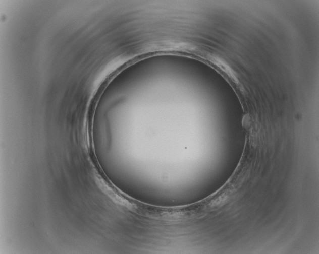 X0000069391080200605192208