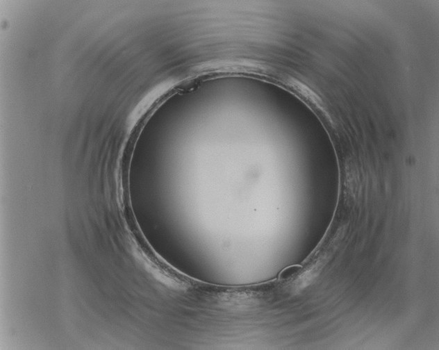 X0000069391082200605192208