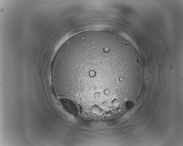 X0000069391083200605192208