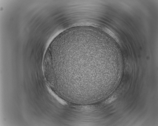 X0000069391084200605192208