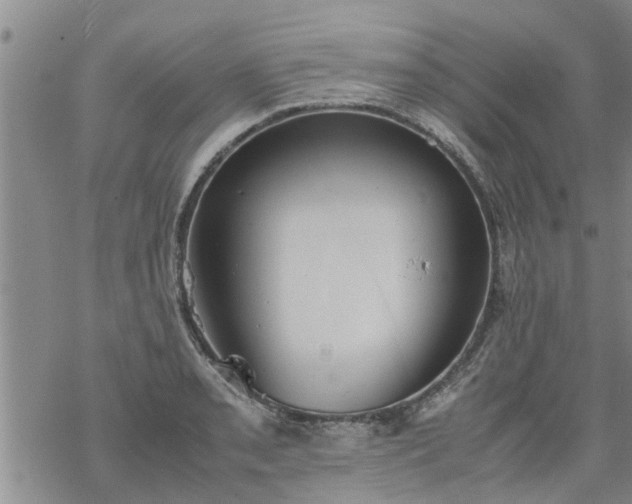 X0000069391085200605192208