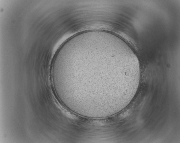 X0000069391086200605192208