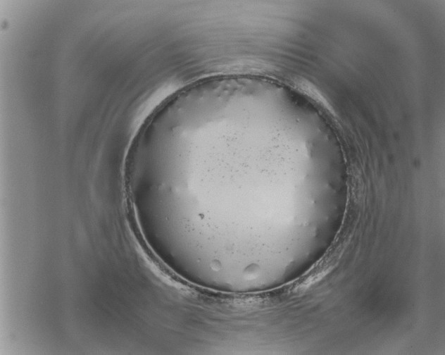 X0000069391087200605192208