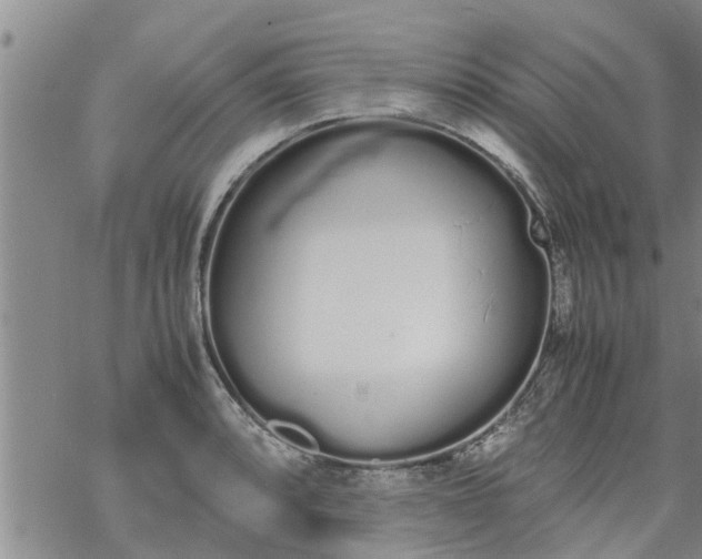 X0000069391088200605192208