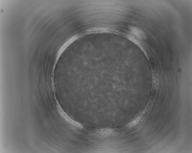 X0000069391090200605192208