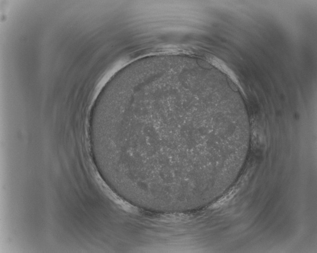 X0000069391091200605192208