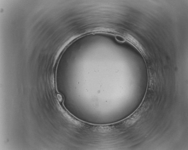 X0000069391092200605192208