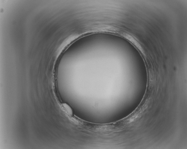 X0000069391093200605192208