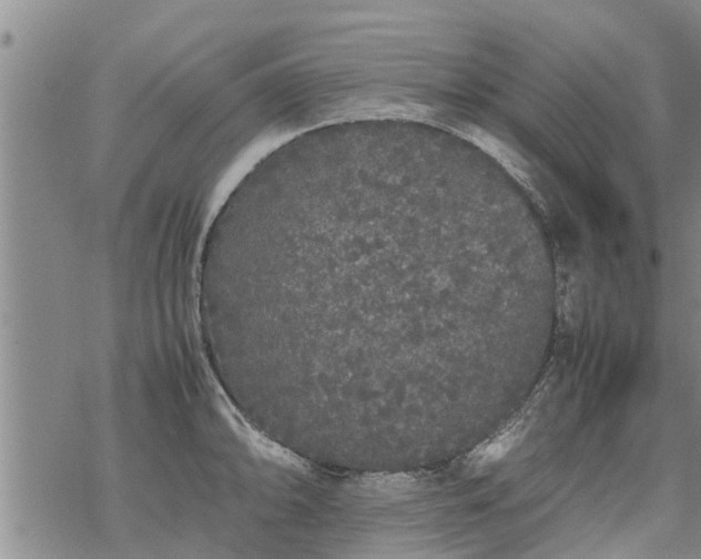 X0000069391094200605192208