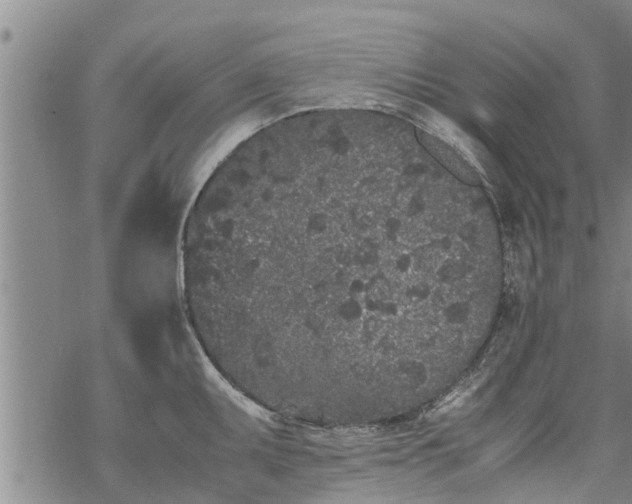 X0000069391095200605192208