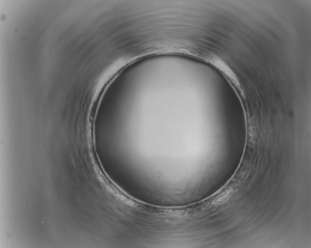 X0000069391096200605192208