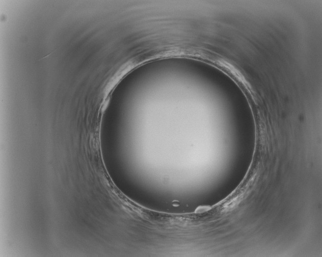 X0000069391097200605192208