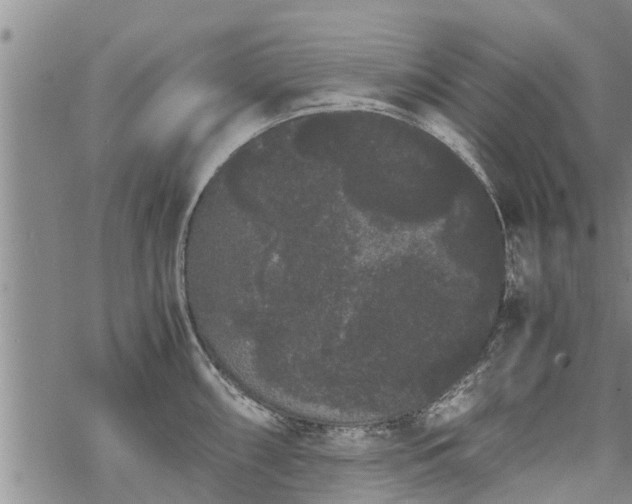 X0000069391098200605192208