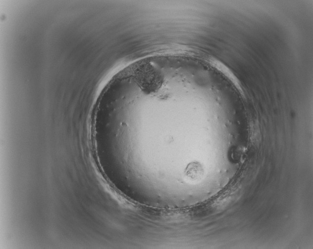 X0000069391099200605192208