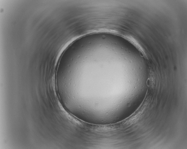 X0000069391100200605192207