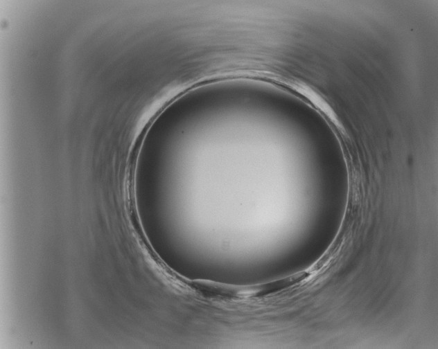 X0000069391101200605192207