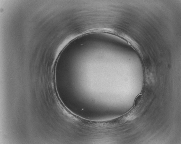 X0000069391102200605192207