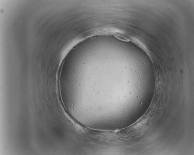 X0000069391103200605192207