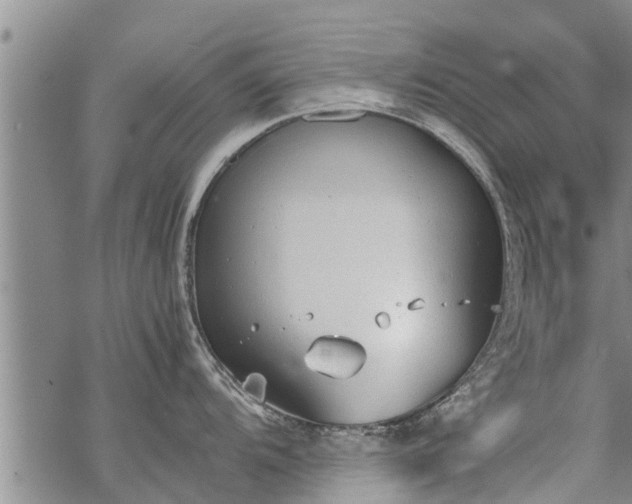 X0000069391104200605192207