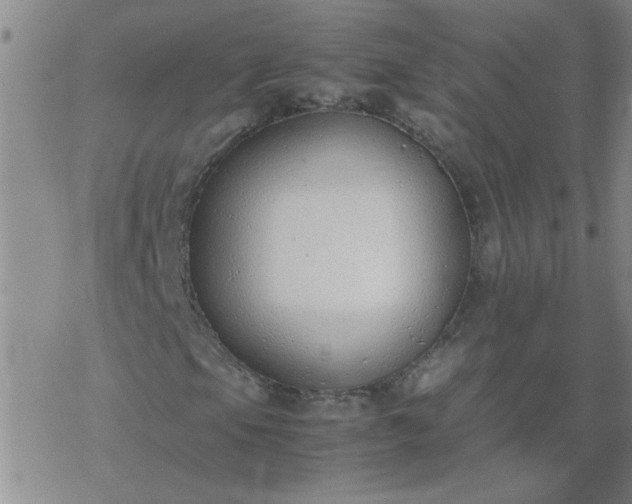 X0000069391105200605192207