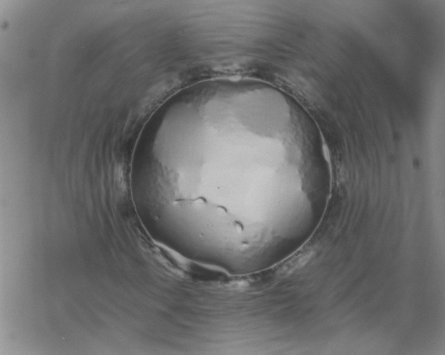 X0000069391106200605192207