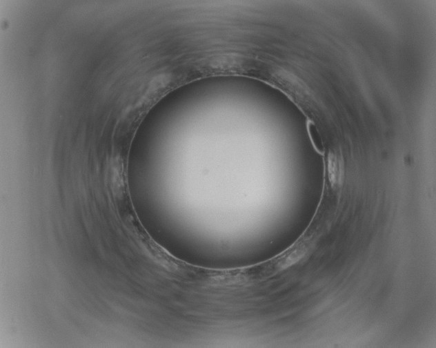 X0000069391107200605192207