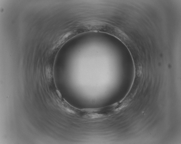 X0000069391108200605192207