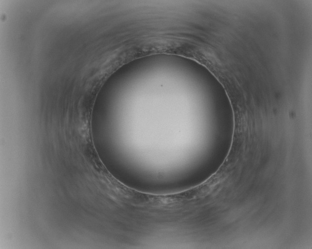 X0000069391109200605192207