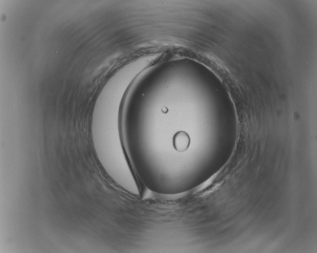 X0000069391110200605192207