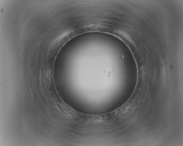 X0000069391111200605192207