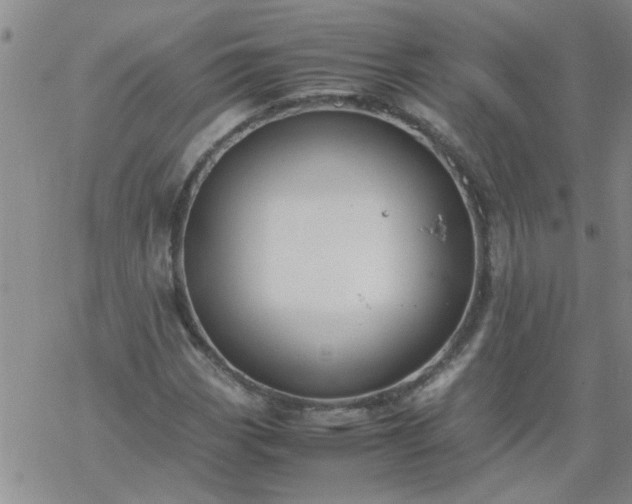 X0000069391113200605192207