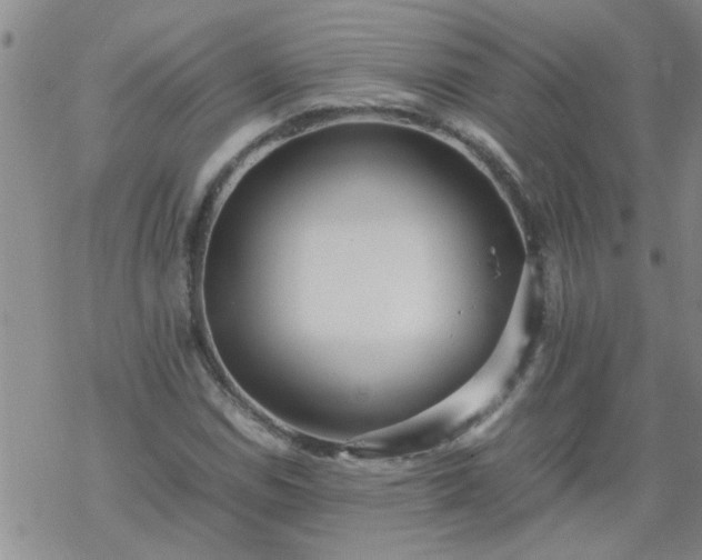 X0000069391114200605192207